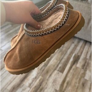 tasmania uggs barley worn